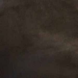 Meet your Posher, Madie